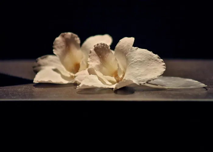 Hotel Waldecker Hof Willingen 